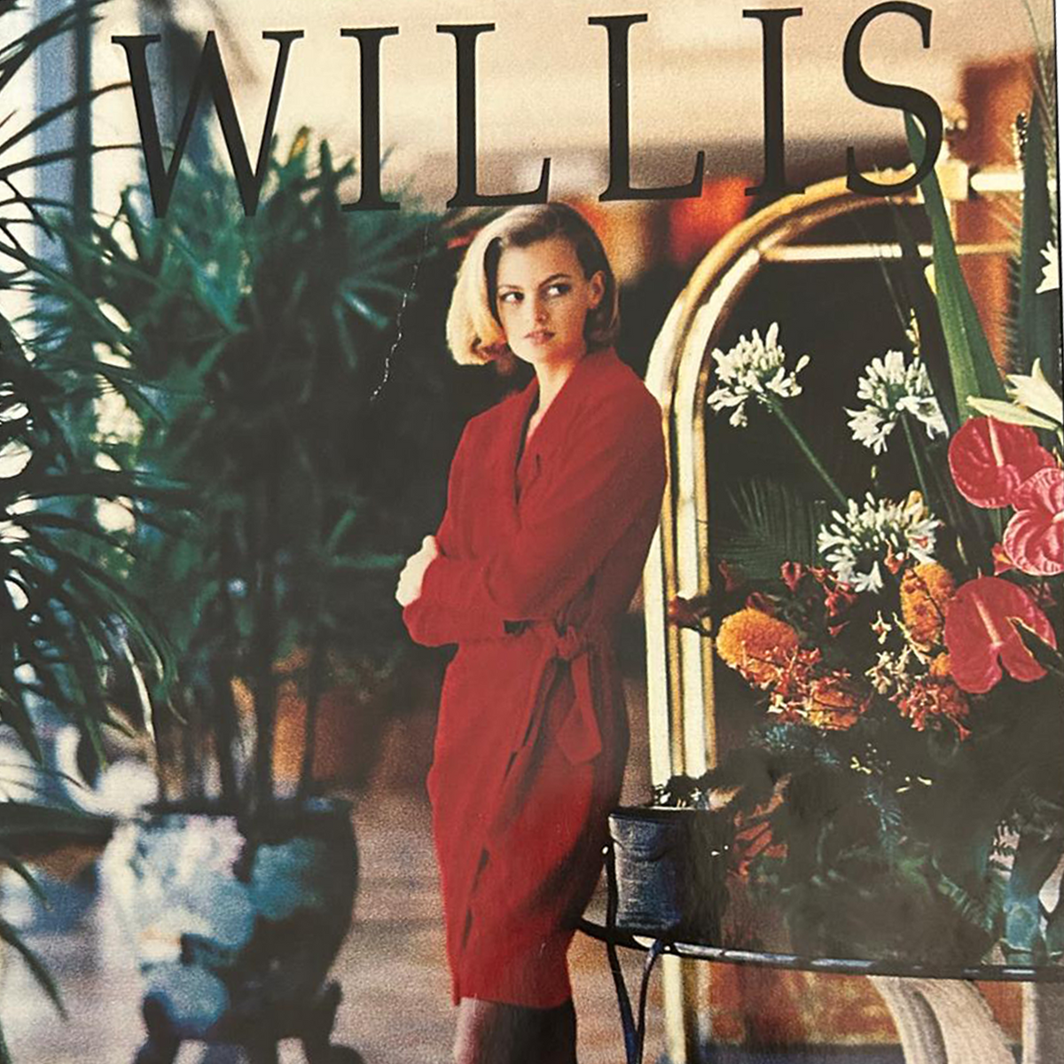 Willis Lingerie advertisement