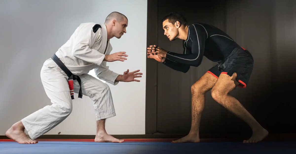 Two martial artists in fighting stances facing each other - one wearing a white gi and one in black athletic wear.